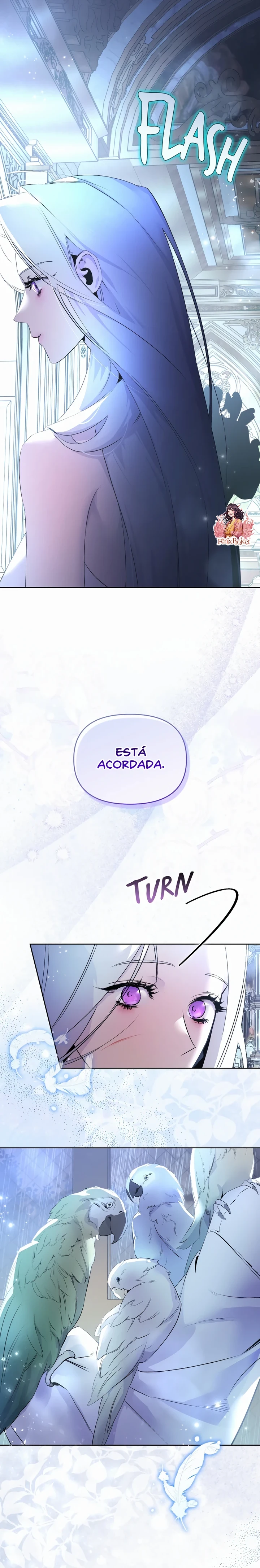 Página 7